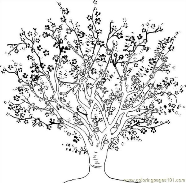 Нарисовать листья деревьев карандашом