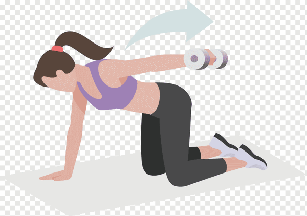 Физические упражнения вектор