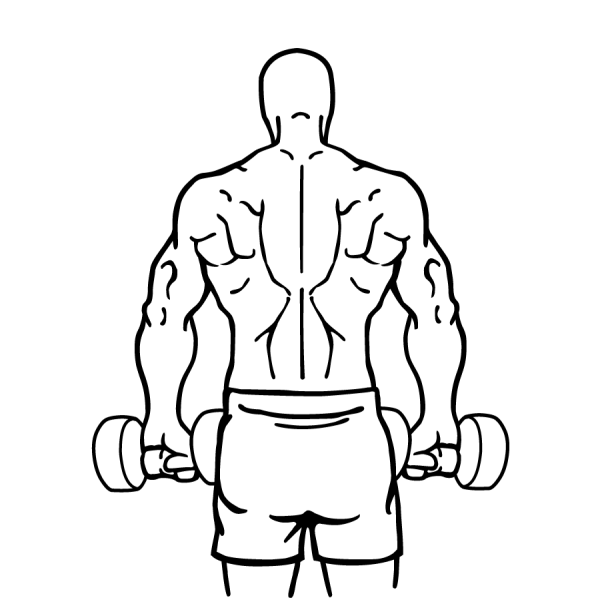 Тренировка рисунок