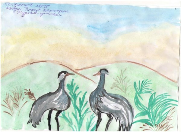 Нарисовать журавля красавку
