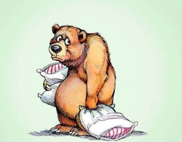 Прикольный медведь рисунок