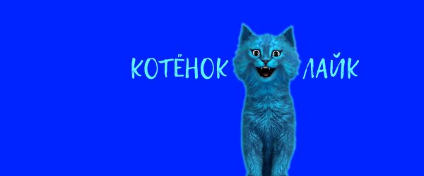 Котик лайк котик лайк