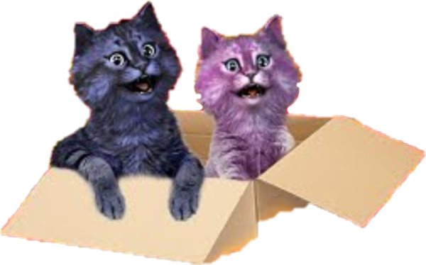 Кошечка Лана и кот Лео