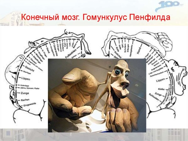 Проектмвная методика гомун