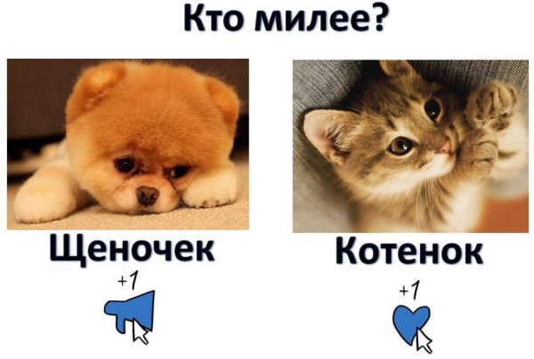 Котёнок лайк в реальной жизни