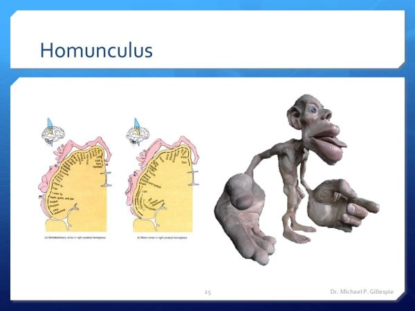 Проектмвная методика гомун