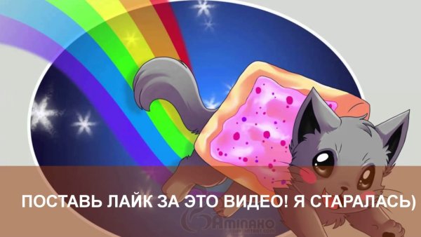 Котенка лайка