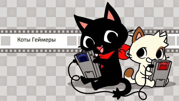 Кот геймер