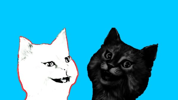 Коты РОБЛОКС