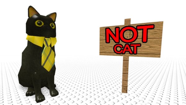 Котик РОБЛОКС