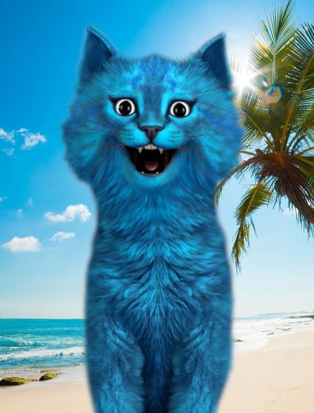 Синий кот в реальной жизни