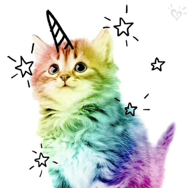 Кошка Единорог