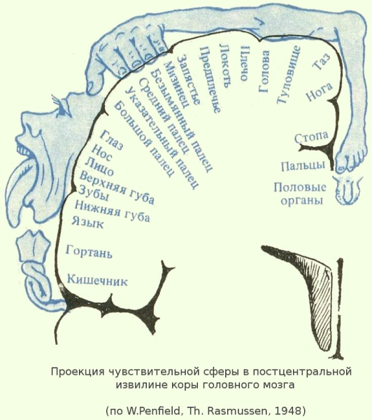 Проектмвная методика гомун