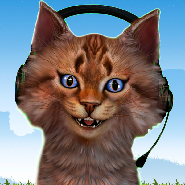 Котенок Игроман