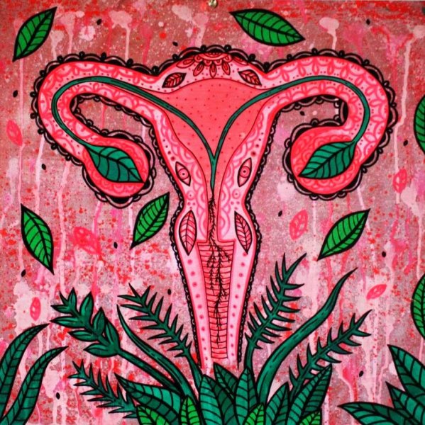 Лотос матка