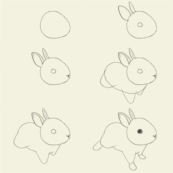 Схема рисования зайца