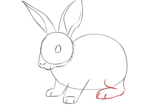 Пошаговое рисование кролика для детей
