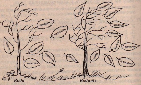 Словообразовательное дерево