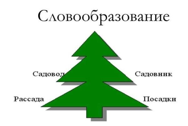 Словообразование картинки