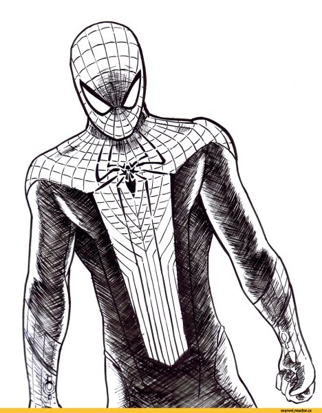Спайдер Мэн срисовка