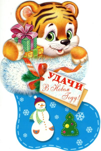 Тигренокок новогодний