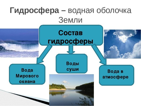 Биосфера атмосфера гидросфера литосфера рисунок