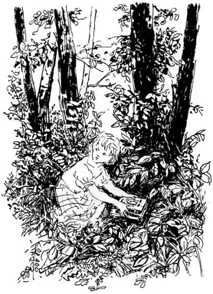 Рассказ Гайдара совесть