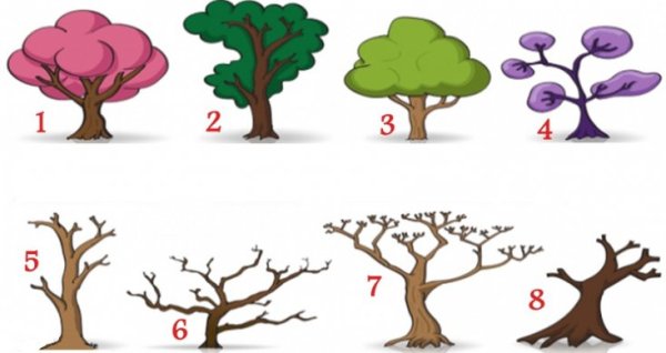 Проективная методика дерево Пономаренко