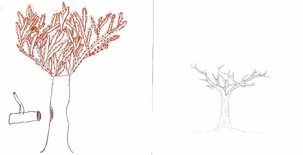 Рисуночный тест три дерева