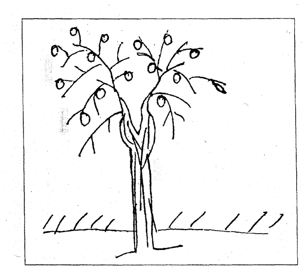 Методика рисования дерева