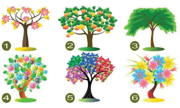 Психологический тест дерево