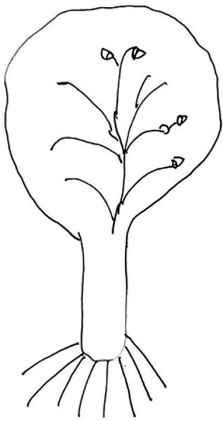 Методика самооценки «дерево» (Дж. И Д. Лампен, модиф. Л.П. Пономаренко);