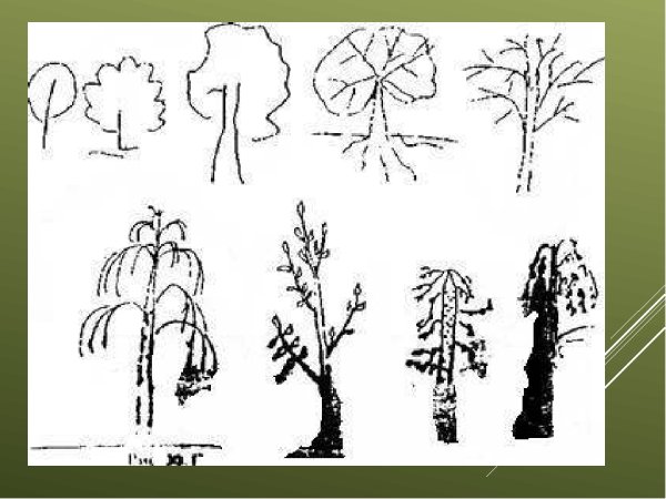 Тест по деревьям психологический