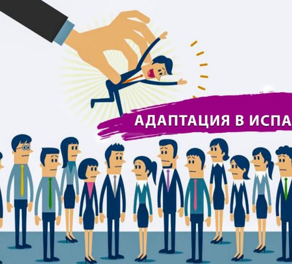 Адаптация к профессии