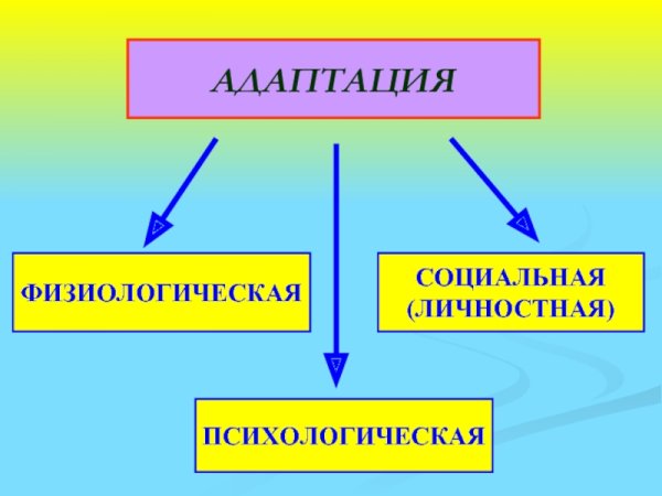 Физиологическая и социальная адаптация