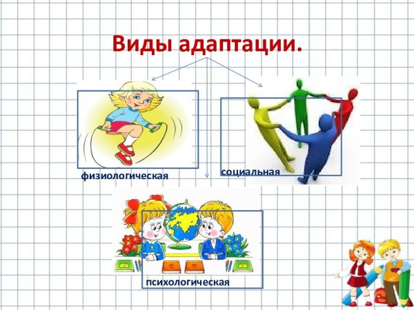 Виды адаптации первоклассника к школе