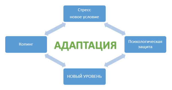 Адаптация схема психология