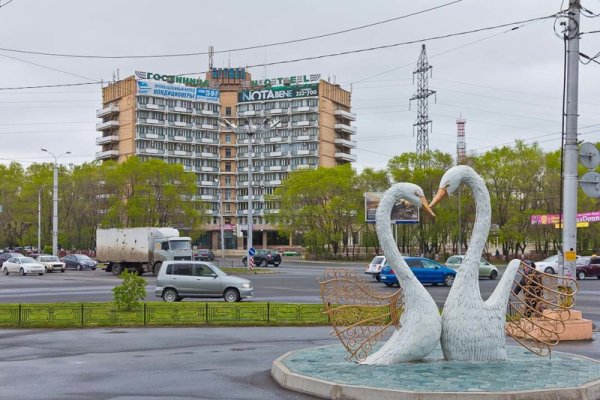 ЗАГС города Абакан с лебедями