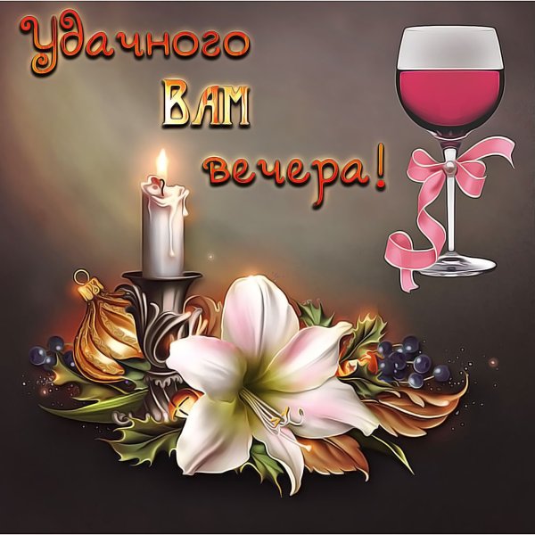 Уютный котик иллюстрация