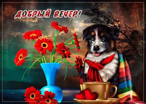 Волшебный вечер