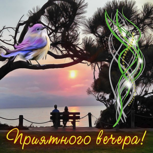 Открытки приятного вечера