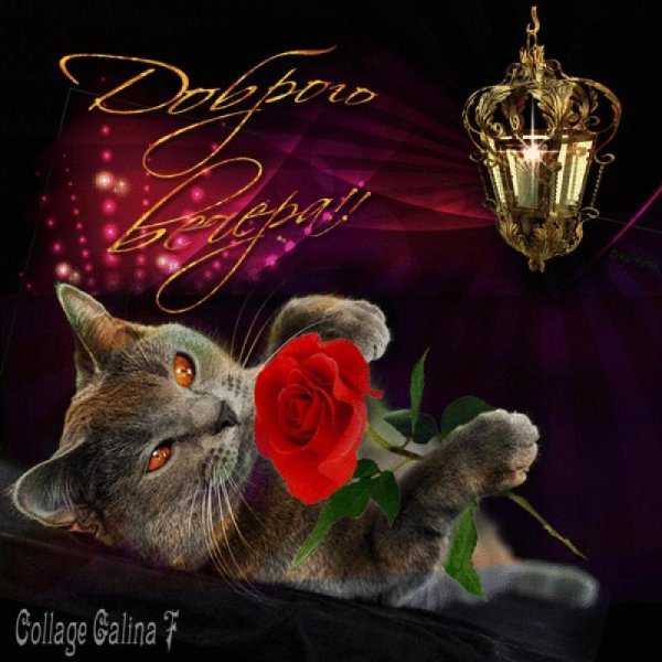 Доброгт субьотнего вкчера