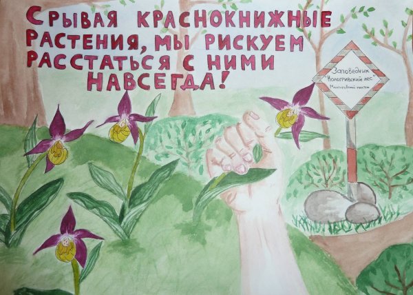 Рисунок берегите растения