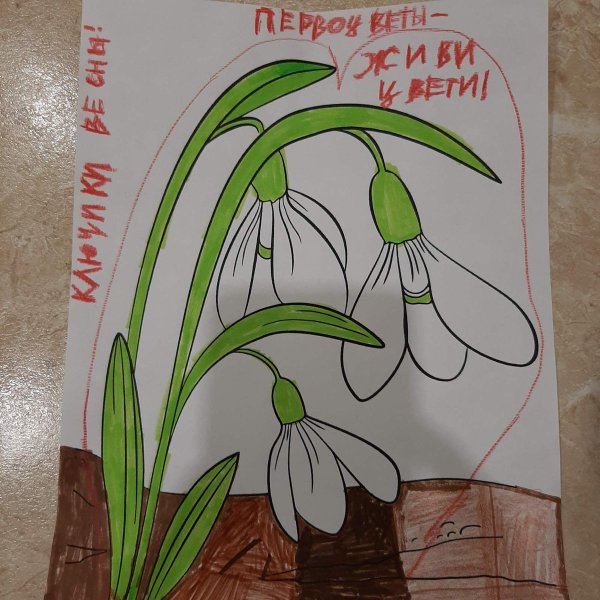 Сохраним первоцветы