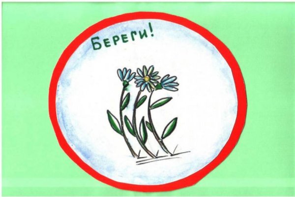 Экологический рисунок