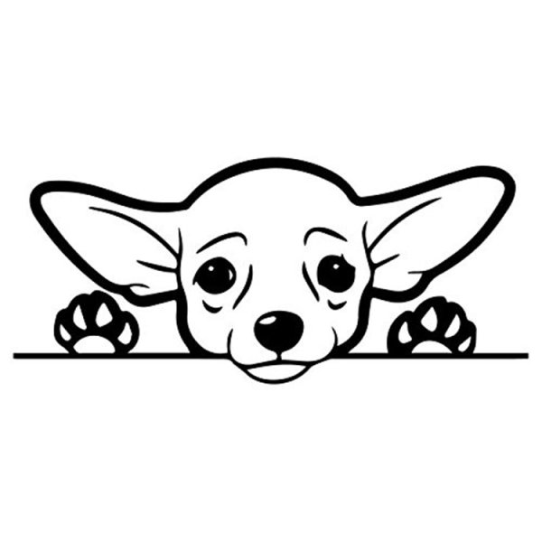 Чихуахуа рисунок