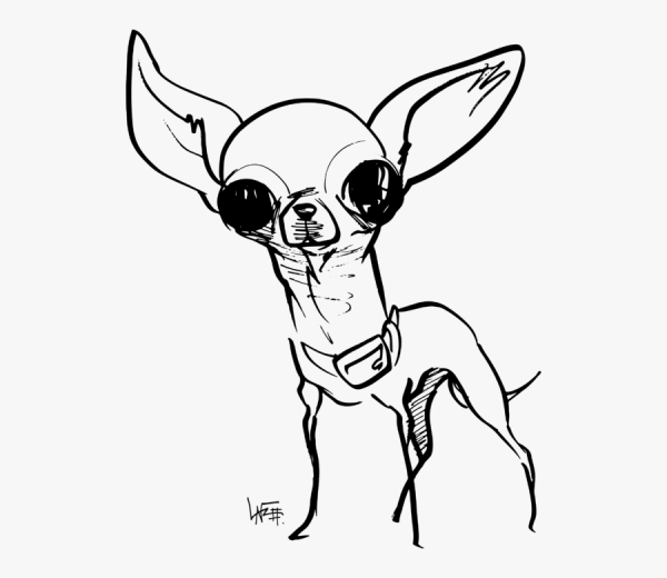 Рисунки чихуахуа карандашом для срисовки