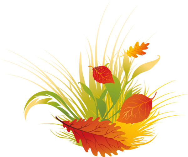 Осенняя трава