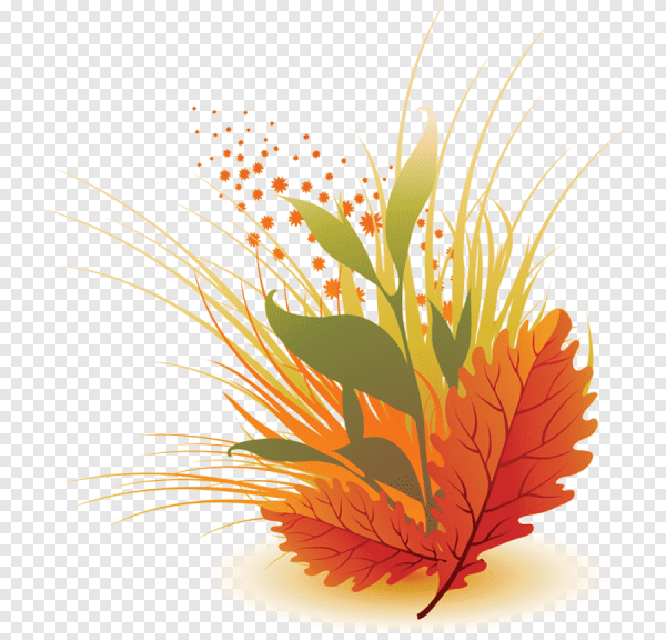 Осенний букет вектор