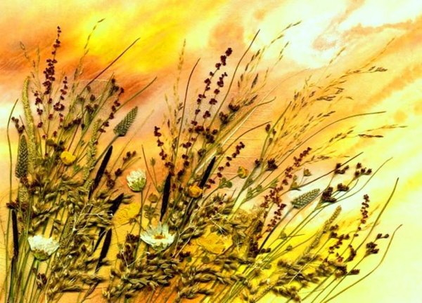 Флористика картины из засушенных растений